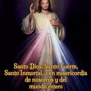 Meet your Posher, Amelya